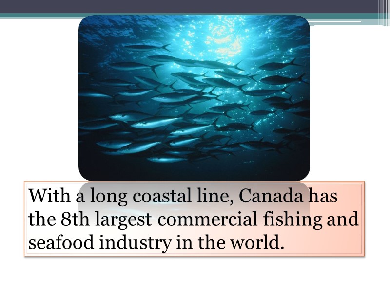 With a long coastal line, Canada has the 8th largest commercial fishing and seafood